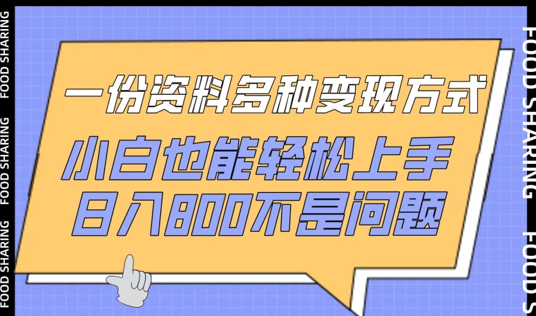 一份资料多种变现方式，小白也能轻松上手，日入800不是问题-网赚联盟