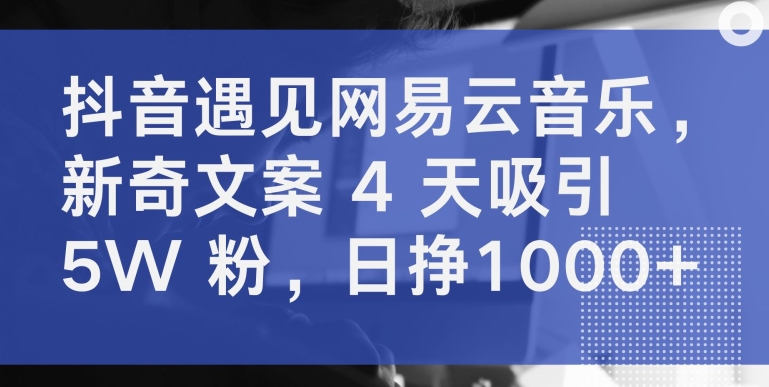 抖音遇见网易云音乐，新奇文案 4 天吸引 5W 粉，日挣1000+-网赚联盟