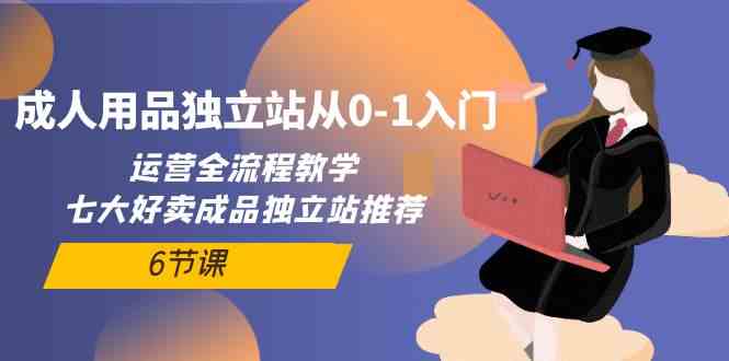 （10082期）成人用品独立站从0-1入门，运营全流程教学，七大好卖成品独立站推荐-6节课-网赚联盟