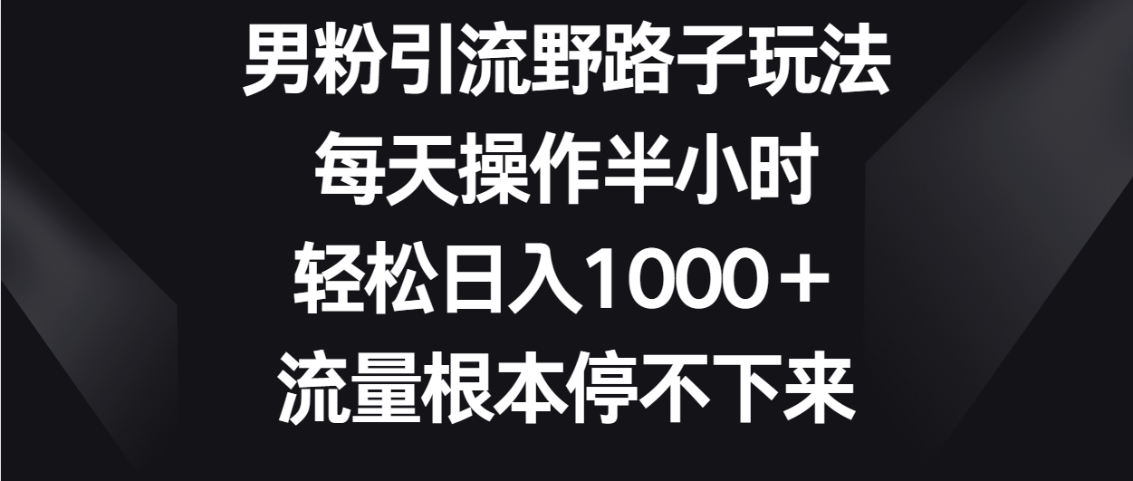 男粉引流野路子玩法，每天操作半小时轻松日入1000＋，流量根本停不下来-网赚联盟
