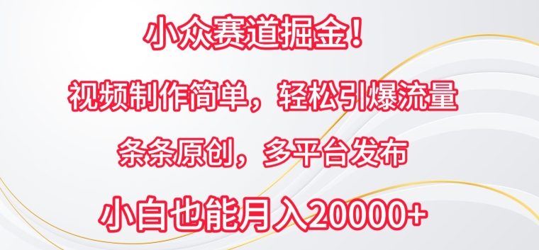小众赛道掘金，视频制作简单，轻松引爆流量，条条原创，多平台发布-网赚联盟