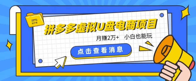 拼多多虚拟U盘电商红利项目：月赚2万+，新手小白也能玩-网赚联盟