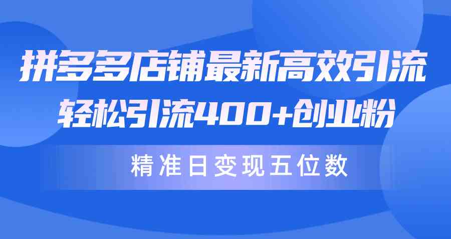 （10041期）拼多多店铺最新高效引流术，轻松引流400+创业粉，精准日变现五位数！-网赚联盟