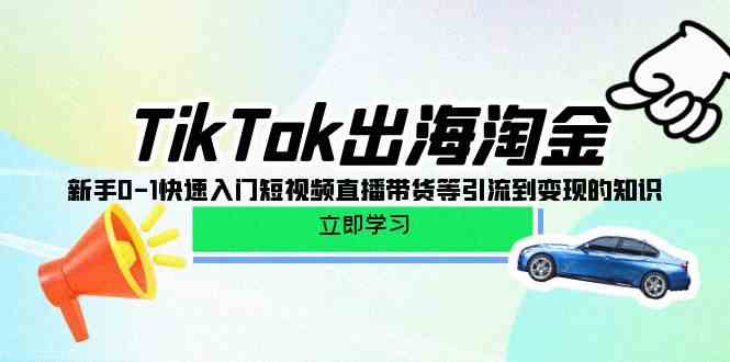 （10035期）TikTok-出海淘金，新手0-1快速入门短视频直播带货等引流到变现的知识-网赚联盟