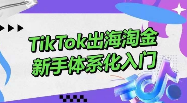 TikTok出海淘金，新手体系化入门，零基础快速入门，掌握短视频、直播带货等引流到变现的知识-网赚联盟