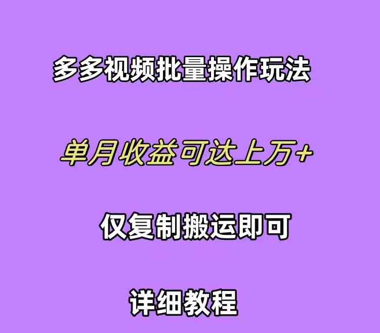 （10029期）拼多多视频带货快速过爆款选品教程 每天轻轻松松赚取三位数佣金 小白必…-网赚联盟