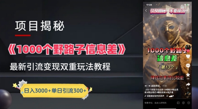 一千个野路子信息差最新玩法教程-变现+引流的玩法具体拆解-网赚联盟