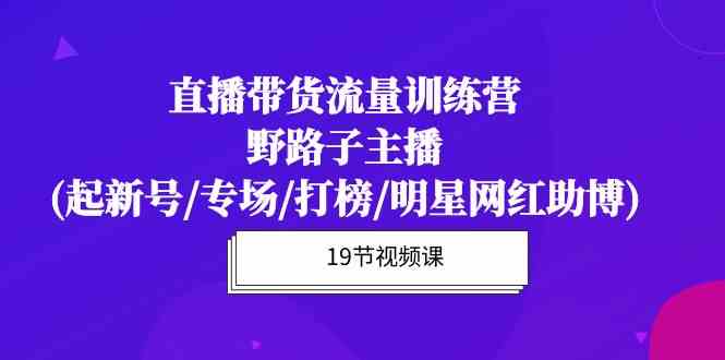 直播带货流量特训营，野路子主播(起新号/专场/打榜/明星网红助博)-网赚联盟