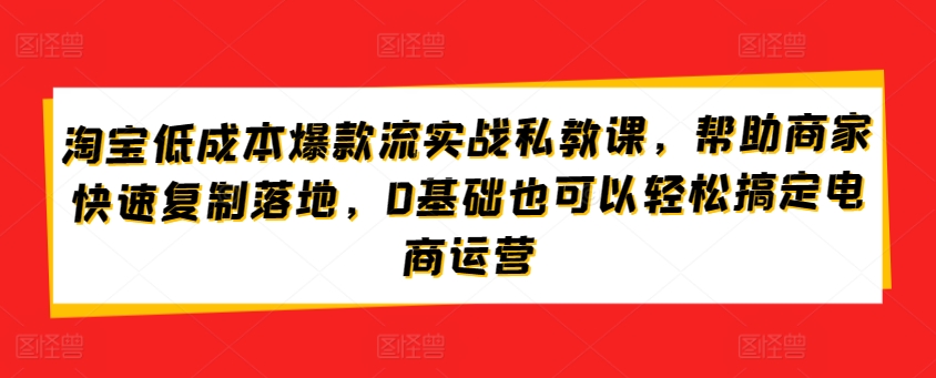 淘宝低成本爆款流实战私教课，帮助商家快速复制落地，0基础也可以轻松搞定电商运营-网赚联盟