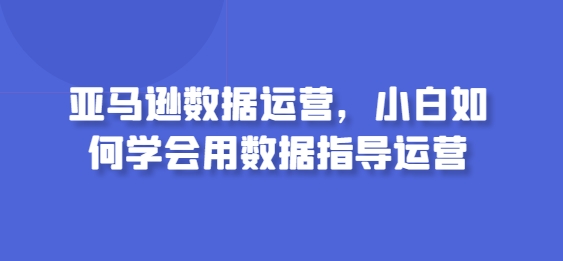 亚马逊数据运营，小白如何学会用数据指导运营-网赚联盟
