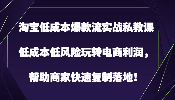 淘宝低成本爆款流实战私教课，低成本低风险玩转电商利润，帮助商家快速复制落地！-网赚联盟