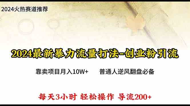 （10151期）2024年最新暴力流量打法，每日导入300+，靠卖项目月入10W+-网赚联盟
