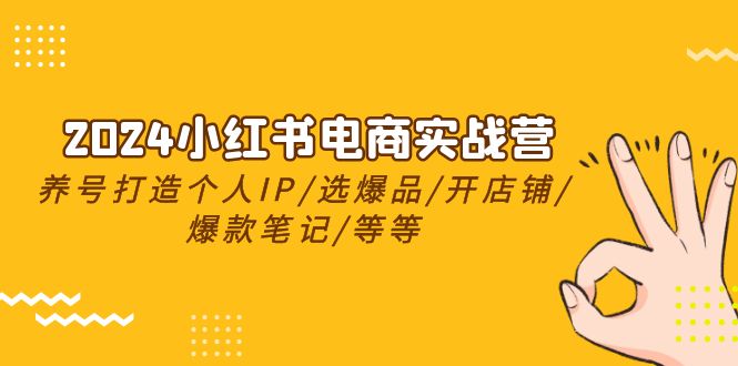 （10376期）2024小红书电商实战营，养号打造IP/选爆品/开店铺/爆款笔记/等等（24节）-网赚联盟