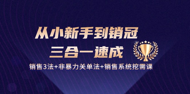 从小新手到销冠三合一速成：销售3法+非暴力关单法+销售系统挖需课 (27节)-网赚联盟