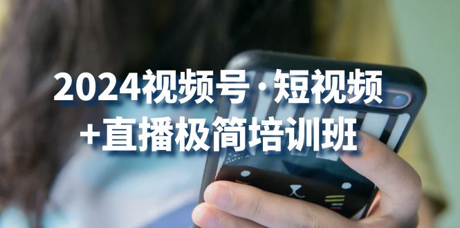 2024视频号短视频+直播极简培训班：抓住视频号风口，流量红利-网赚联盟