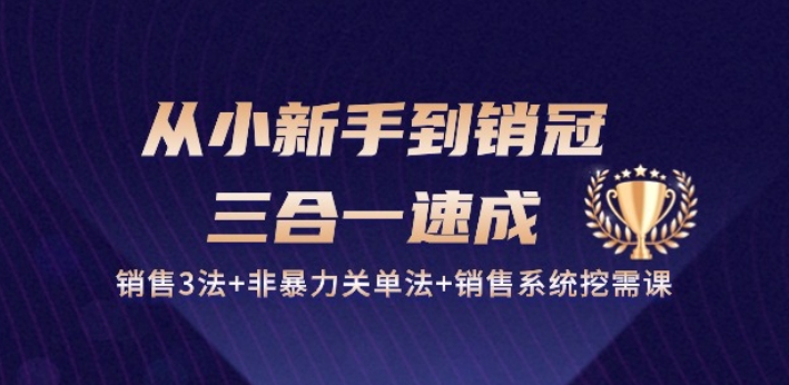 从小新手到销冠 三合一速成：销售3法+非暴力关单法+销售系统挖需课 (27节)-网赚联盟