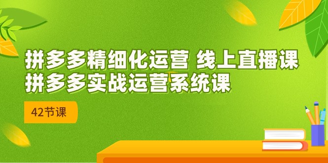 拼多多精细化运营 线上直播课：拼多多实战运营系统课（更新47节）-网赚联盟