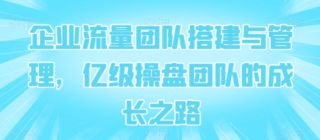 企业流量团队搭建与管理，亿级操盘团队的成长之路-网赚联盟