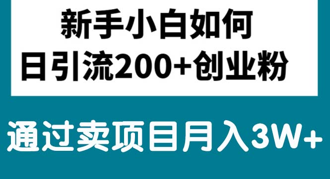 （10843期）新手小白日引流200+创业粉,通过卖项目月入3W+-网赚联盟