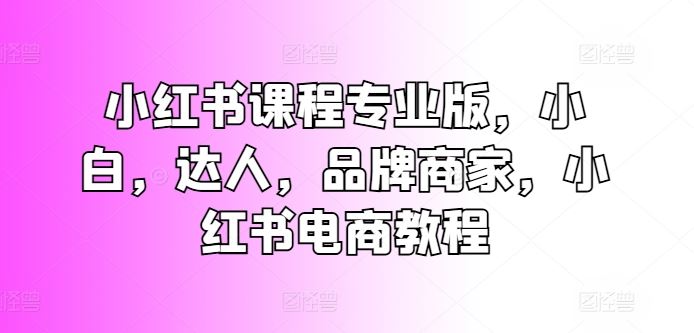 小红书课程专业版，小白，达人，品牌商家，小红书电商教程-网赚联盟