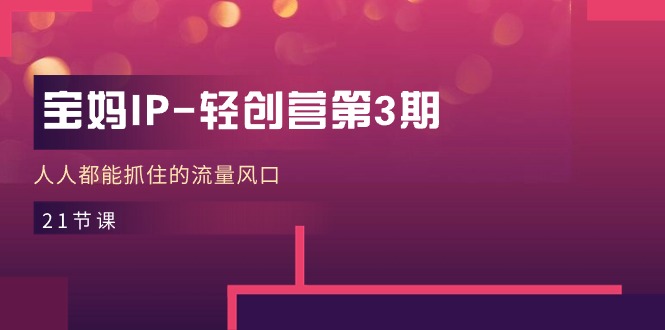 （11042期）宝妈IP-轻创营第3期，人人都能抓住的流量风口（21节课）-网赚联盟