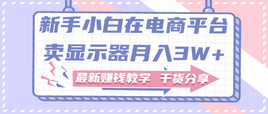 （11053期）新手小白如何做到在电商平台卖显示器月入3W+，最新赚钱教学干货分享-网赚联盟