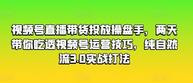 视频号直播带货投放操盘手，两天带你吃透视频号运营技巧，纯自然流3.0实战打法-网赚联盟
