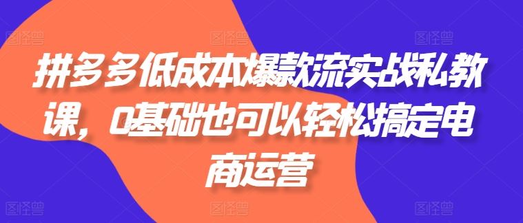 拼多多低成本爆款流实战私教课，0基础也可以轻松搞定电商运营-网赚联盟