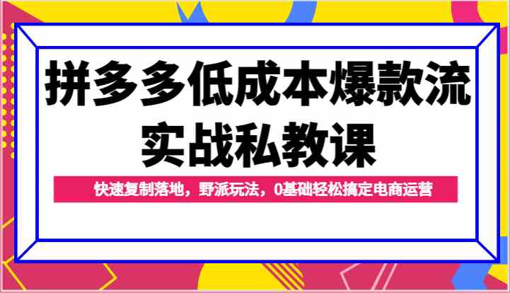 拼多多低成本爆款流实战私教课，快速复制落地，野派玩法，0基础轻松搞定电商运营-网赚联盟