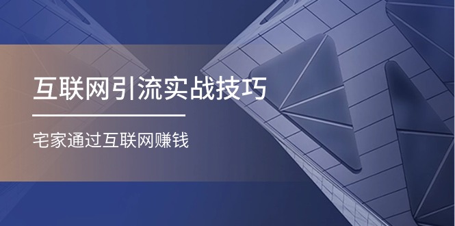 互联网引流实操技巧(适合微商，吸引宝妈)，宅家通过互联网赚钱（17节）-网赚联盟