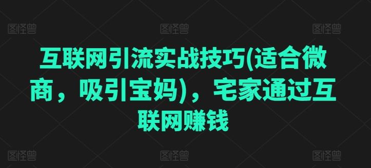 互联网引流实战技巧(适合微商，吸引宝妈)，宅家通过互联网赚钱-网赚联盟