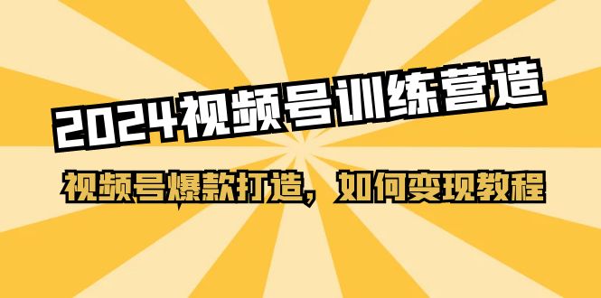 （11135期）2024视频号训练营，视频号爆款打造，如何变现教程（20节课）-网赚联盟