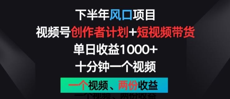 下半年风口项目，视频号创作者计划+视频带货，一个视频两份收益，十分钟一个视频【揭秘】-网赚联盟