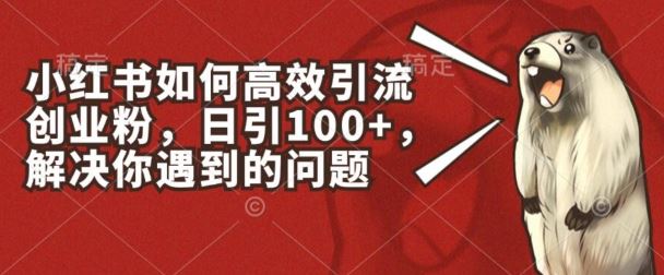 小红书如何高效引流创业粉，日引100+，解决你遇到的问题【揭秘】-网赚联盟