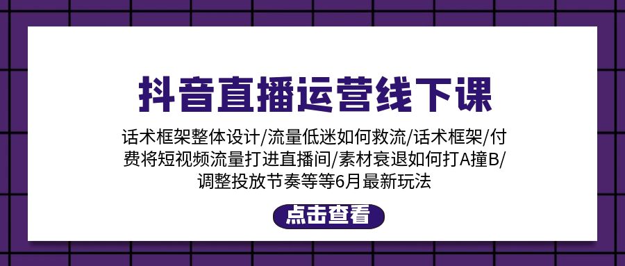 （11211期）抖音直播运营线下课：话术框架/付费流量直播间/素材A撞B/等6月新玩法-网赚联盟