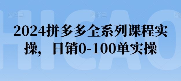 2024拼多多全系列课程实操，日销0-100单实操【必看】-网赚联盟