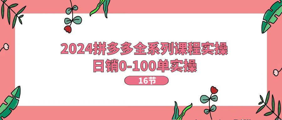 （11222期）2024拼多多全系列课程实操，日销0-100单实操【16节课】-网赚联盟
