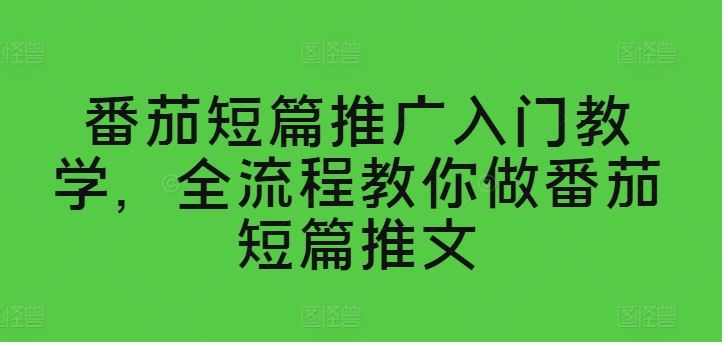番茄短篇推广入门教学，全流程教你做番茄短篇推文-网赚联盟