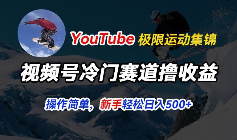 视频号冷门赛道撸收益，YouTube搬运极限运动集锦，暴力起号，操作简单流量高，轻松日入5张【揭秘】-网赚联盟