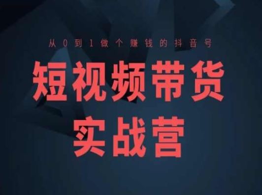短视频带货实战营(高阶课)，从0到1做个赚钱的抖音号-网赚联盟