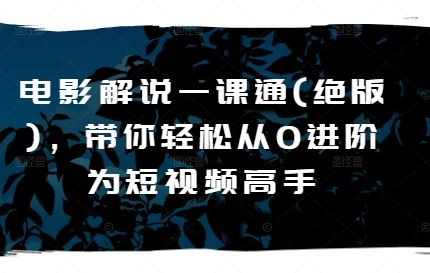 电影解说一课通(绝版)，带你轻松从0进阶为短视频高手-网赚联盟