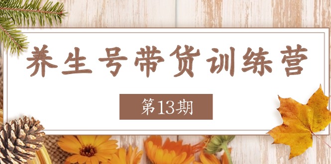 养生号带货训练营【第13期】收益更稳定的玩法，让你带货收益爆炸-网赚联盟