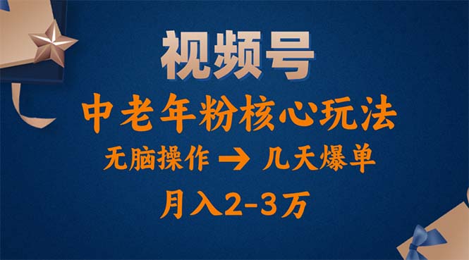 （11288期）视频号火爆玩法，高端中老年粉核心打法，无脑操作，一天十分钟，月入两万-网赚联盟