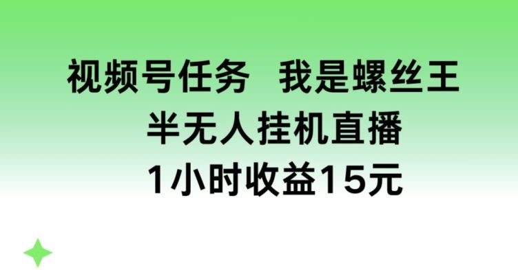 视频号任务，我是螺丝王， 半无人挂机1小时收益15元【揭秘】-网赚联盟