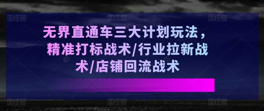 无界直通车三大计划玩法，精准打标战术/行业拉新战术/店铺回流战术-网赚联盟