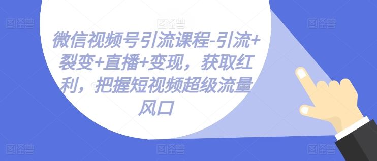 微信视频号引流课程-引流+裂变+直播+变现，获取红利，把握短视频超级流量风口-网赚联盟