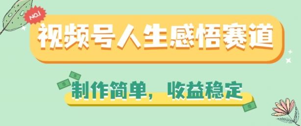 视频号人生感悟赛道，制作简单，收益稳定【揭秘】-网赚联盟