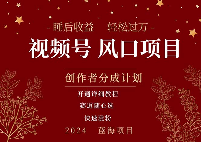 （11331期）拥有睡眠收益的微信视频号大风口项目，轻松月入过万+，多赛道选择，可…-网赚联盟