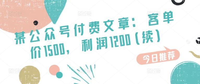 某公众号付费文章：客单价1500，利润1200(续)，市场几乎可以说是空白的-网赚联盟