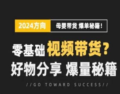 短视频母婴赛道实操流量训练营，零基础视频带货，好物分享，爆量秘籍-网赚联盟